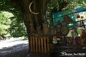VBS_4837 - Il bosco fatato - Montaldo Roero